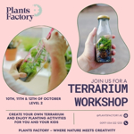 Terrarium Workshop at Deerfields Mall