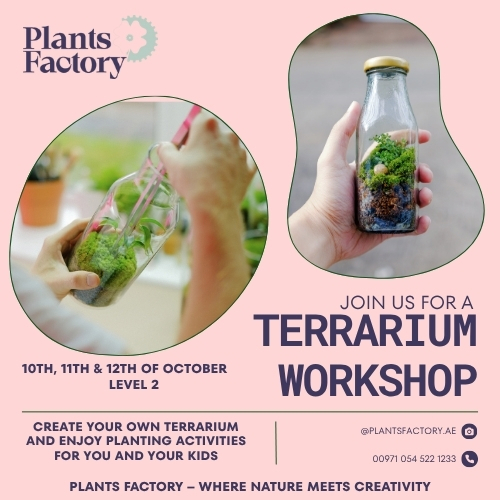 Terrarium Workshop at Deerfields Mall